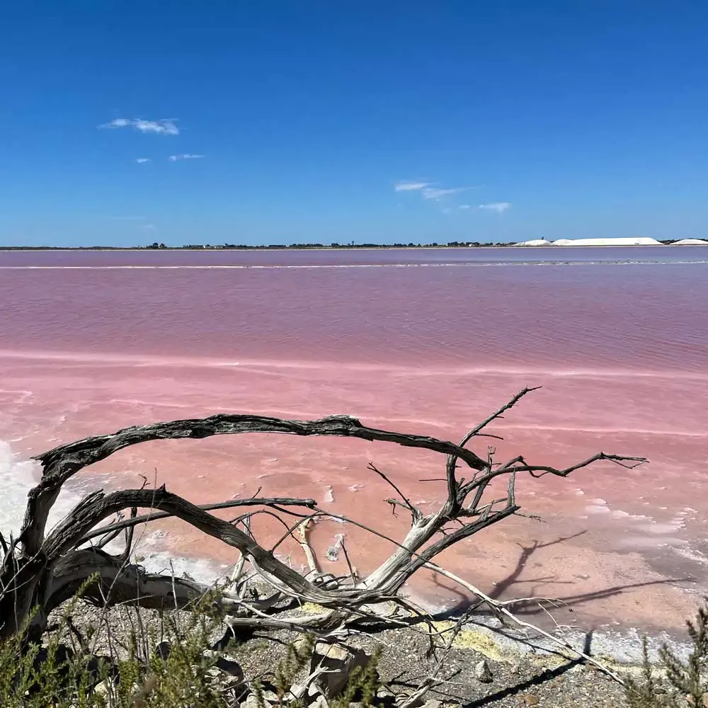Aigues-Mortes